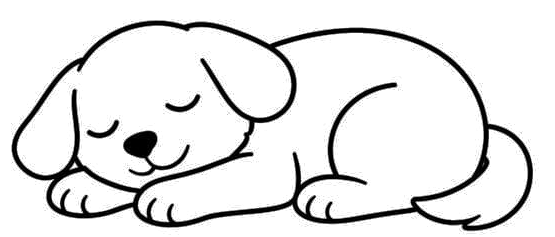 Relaxed, sleeping dog