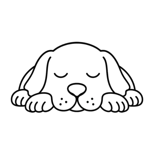 Relaxed, sleeping dog